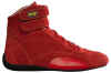 http://www.motorspot.com/shoewinner510.jpg (21185 bytes)